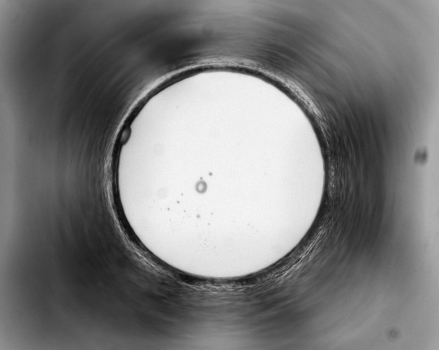 X0000103460895200810101147