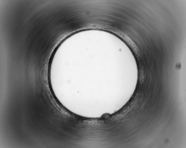 X0000103460896200810101147