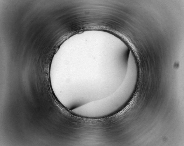 X0000103460897200810101147