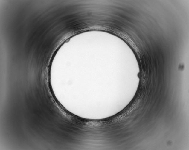 X0000103460898200810101147