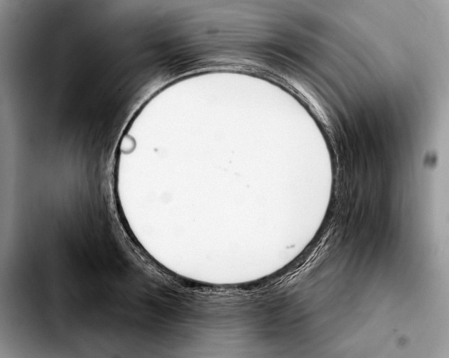 X0000103460899200810101147