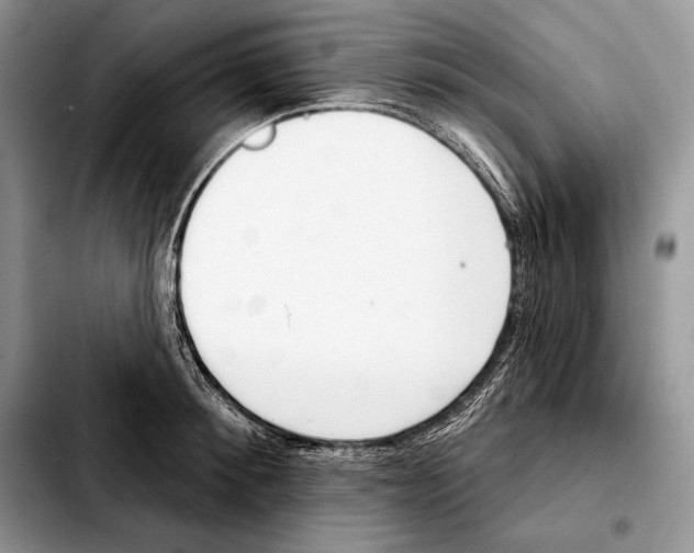 X0000103460900200810101147
