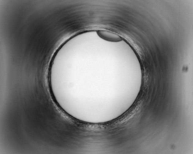 X0000103460901200810101147