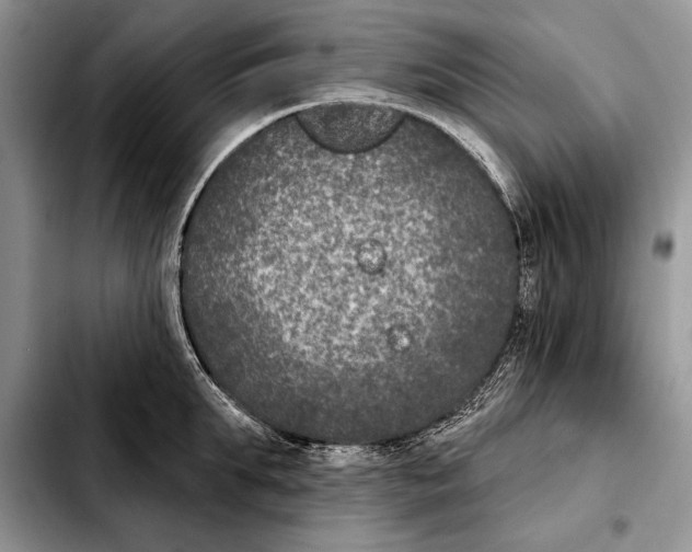X0000103460903200810101147