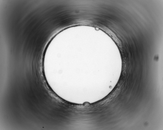 X0000103460904200810101147