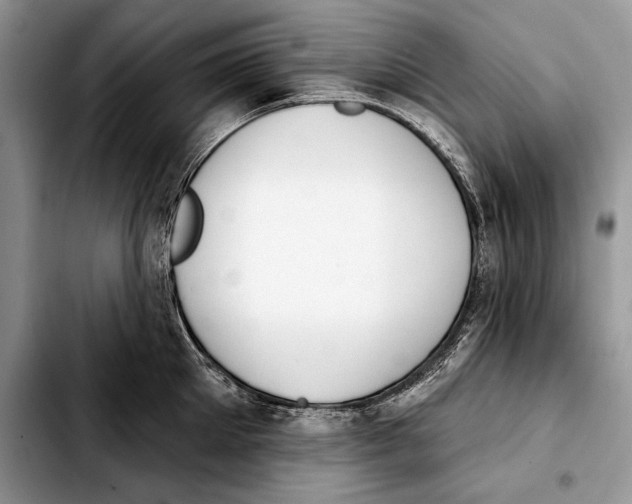 X0000103460905200810101147