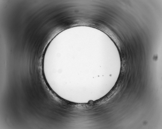 X0000103460906200810101147