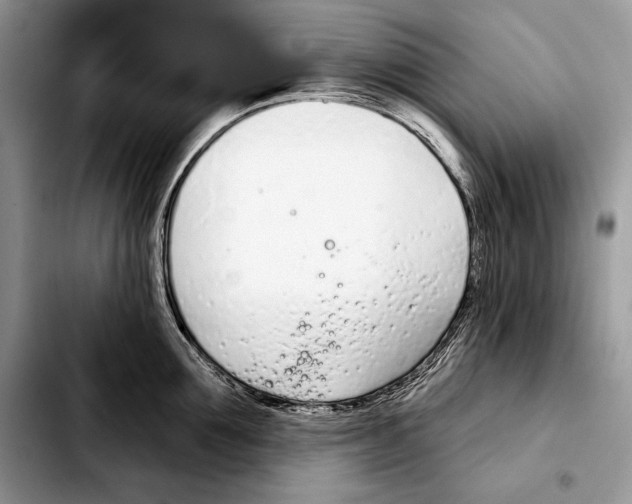X0000103460907200810101147