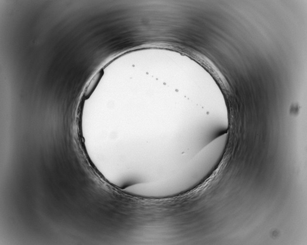 X0000103460908200810101147