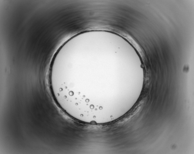 X0000103460909200810101147