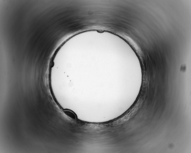 X0000103460910200810101147