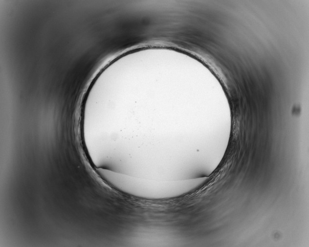 X0000103460911200810101147