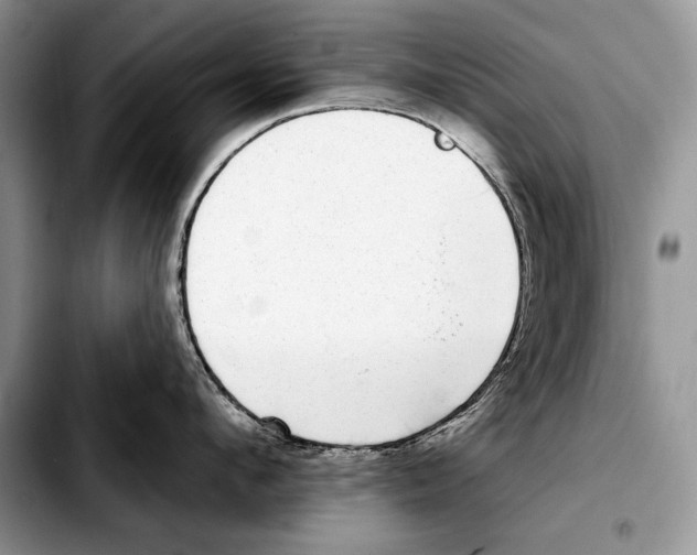 X0000103460912200810101147