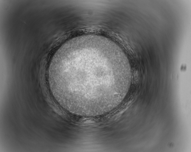 X0000103460913200810101146