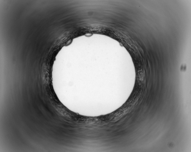 X0000103460916200810101147