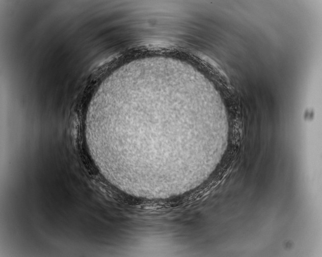 X0000103460917200810101147