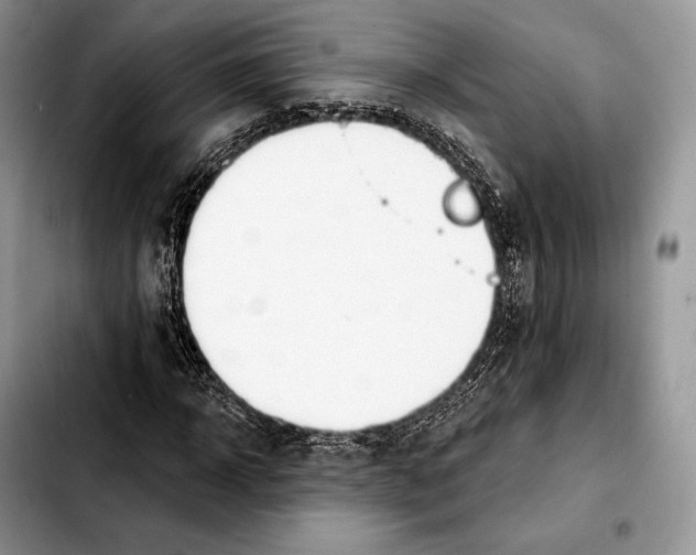 X0000103460918200810101147