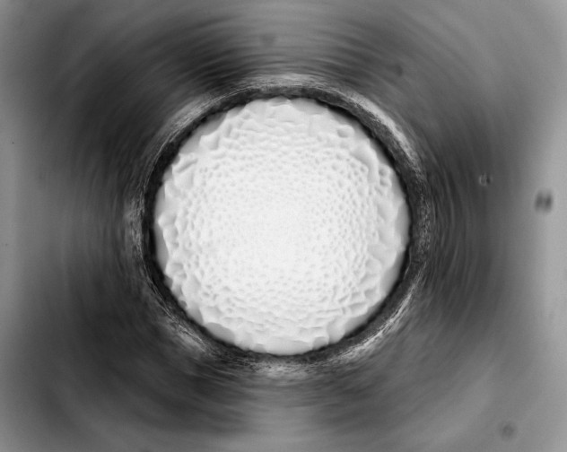X0000103460921200810101147