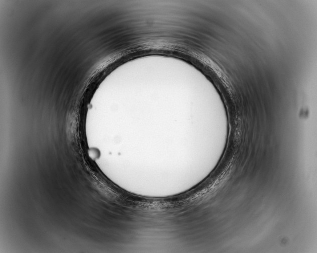 X0000103460922200810101147