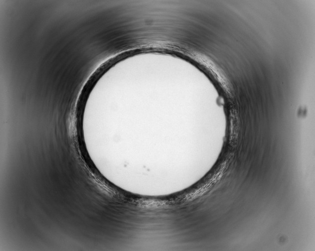X0000103460924200810101147