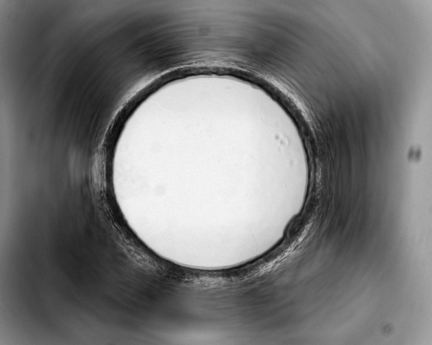 X0000103460925200810101147
