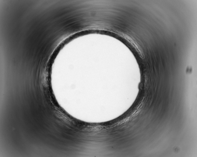 X0000103460926200810101147