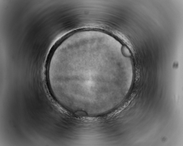 X0000103460928200810101147