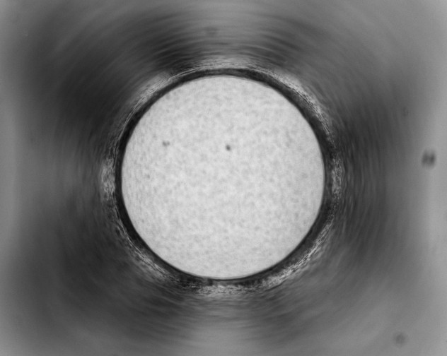 X0000103460929200810101147