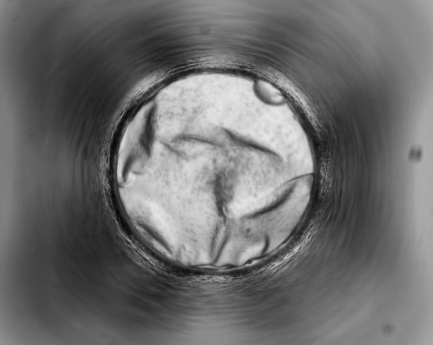 X0000103460930200810101147