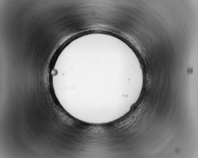 X0000103460931200810101147