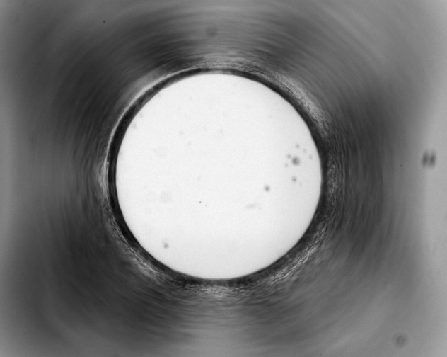X0000103460932200810101147