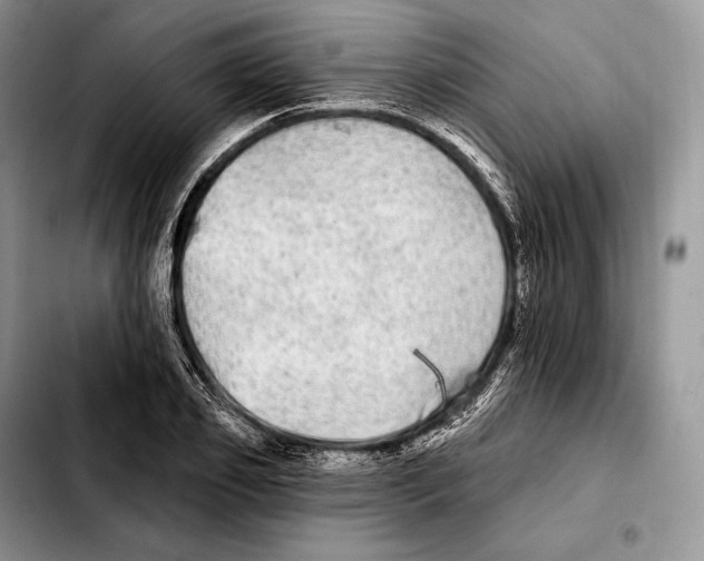 X0000103460933200810101147