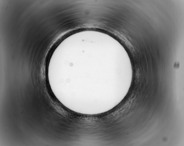 X0000103460934200810101147
