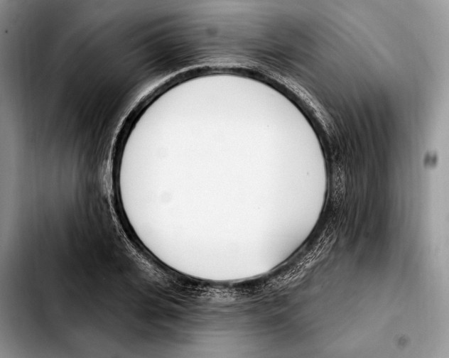 X0000103460935200810101147