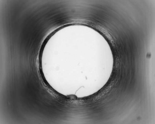 X0000103460936200810101147