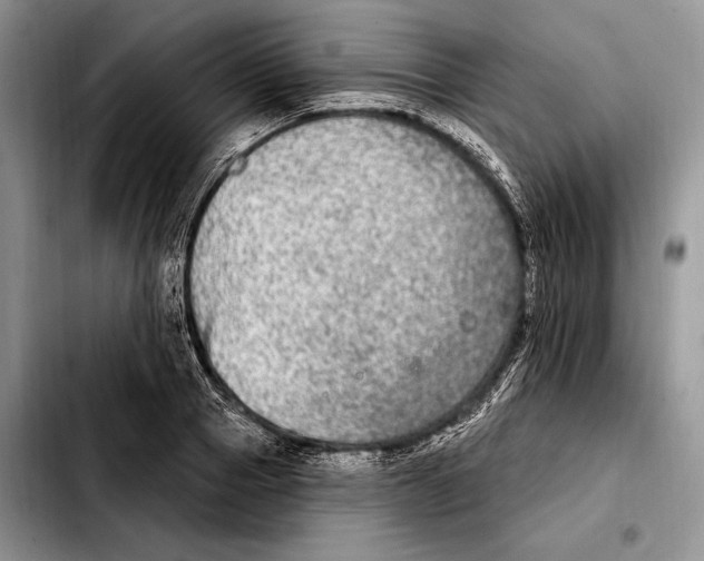 X0000103460937200810101147