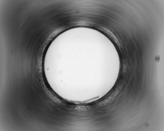 X0000103460938200810101147