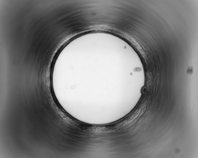 X0000103460939200810101147