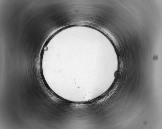 X0000103460940200810101147
