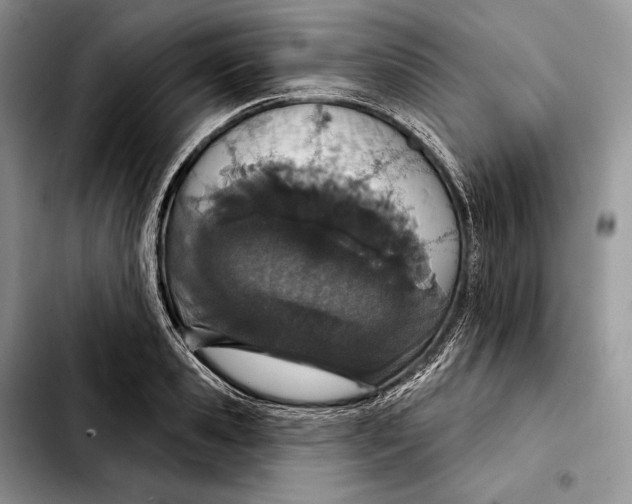 X0000103460941200810101147