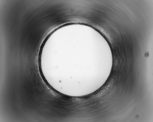 X0000103460943200810101147