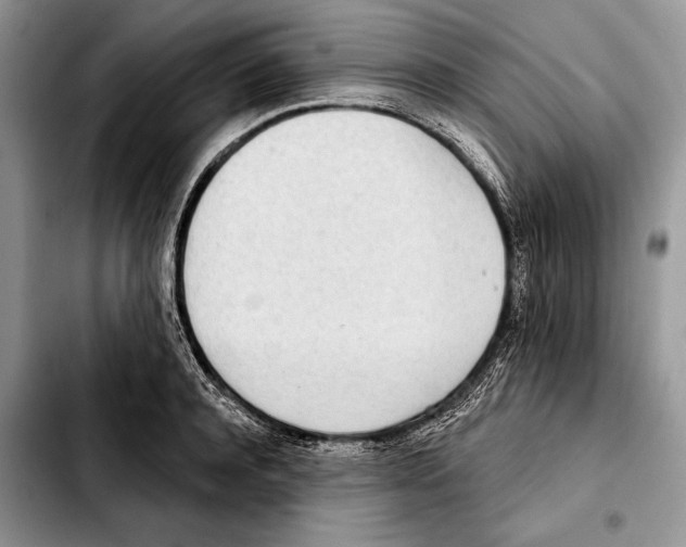 X0000103460944200810101147