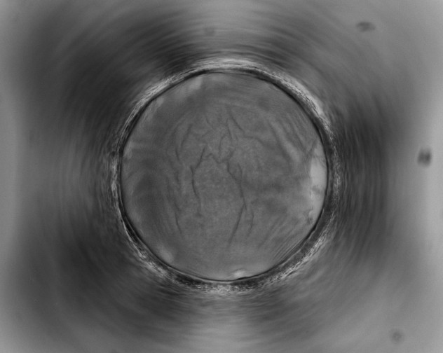 X0000103460945200810101147