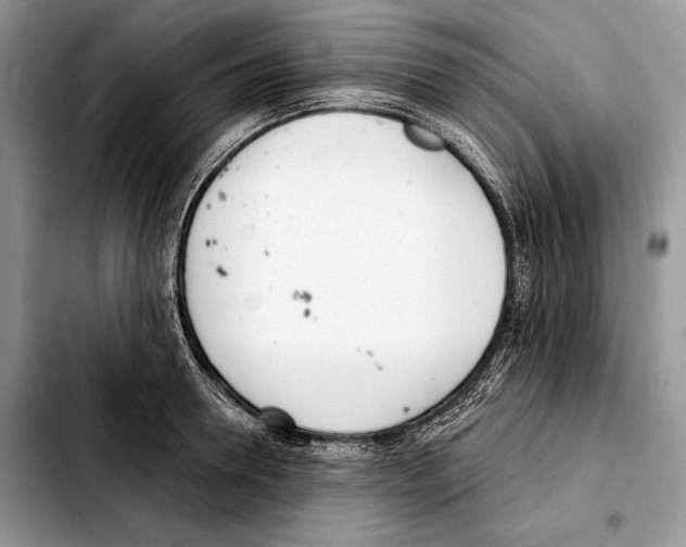 X0000103460946200810101147