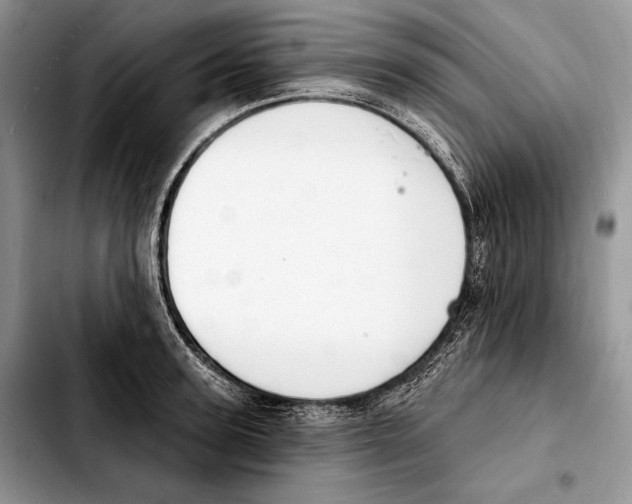 X0000103460947200810101147