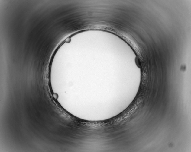 X0000103460948200810101147