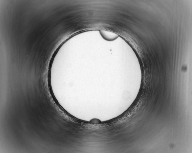 X0000103460949200810101147