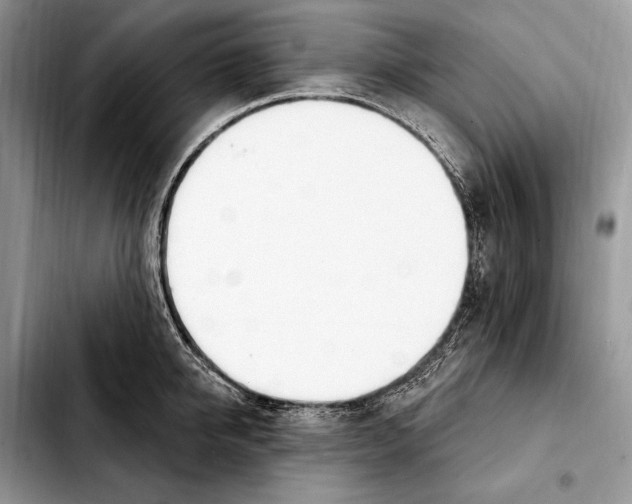 X0000103460950200810101147