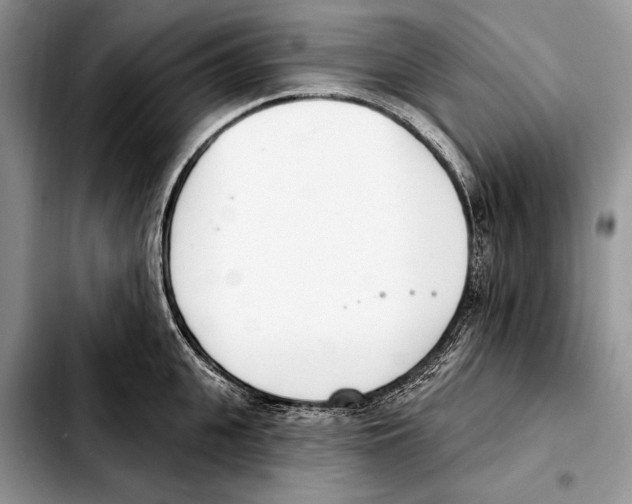 X0000103460951200810101147