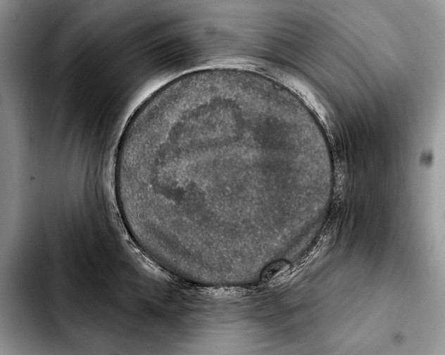 X0000103460952200810101147